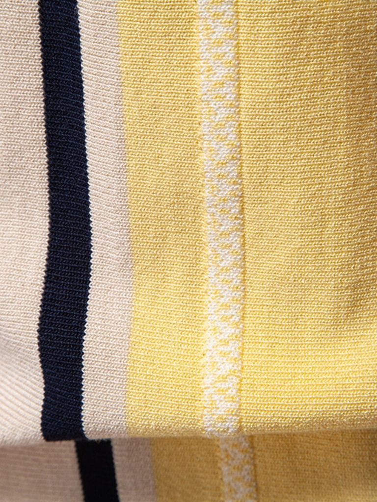 Skumringsstribet Polo